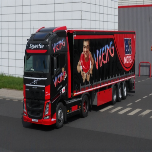 The Road Viking Skinpack v1.0 ETS2